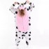 Pink Belly Cow