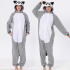 Gray Raccoon 